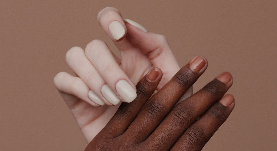 DIPLOMAと商品購入について